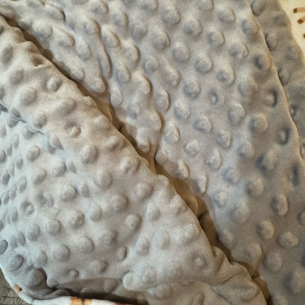 Toddler Baby Blanket with Gray and Multicolor Animal Print Soft And Warm - Picture 5 of 10
